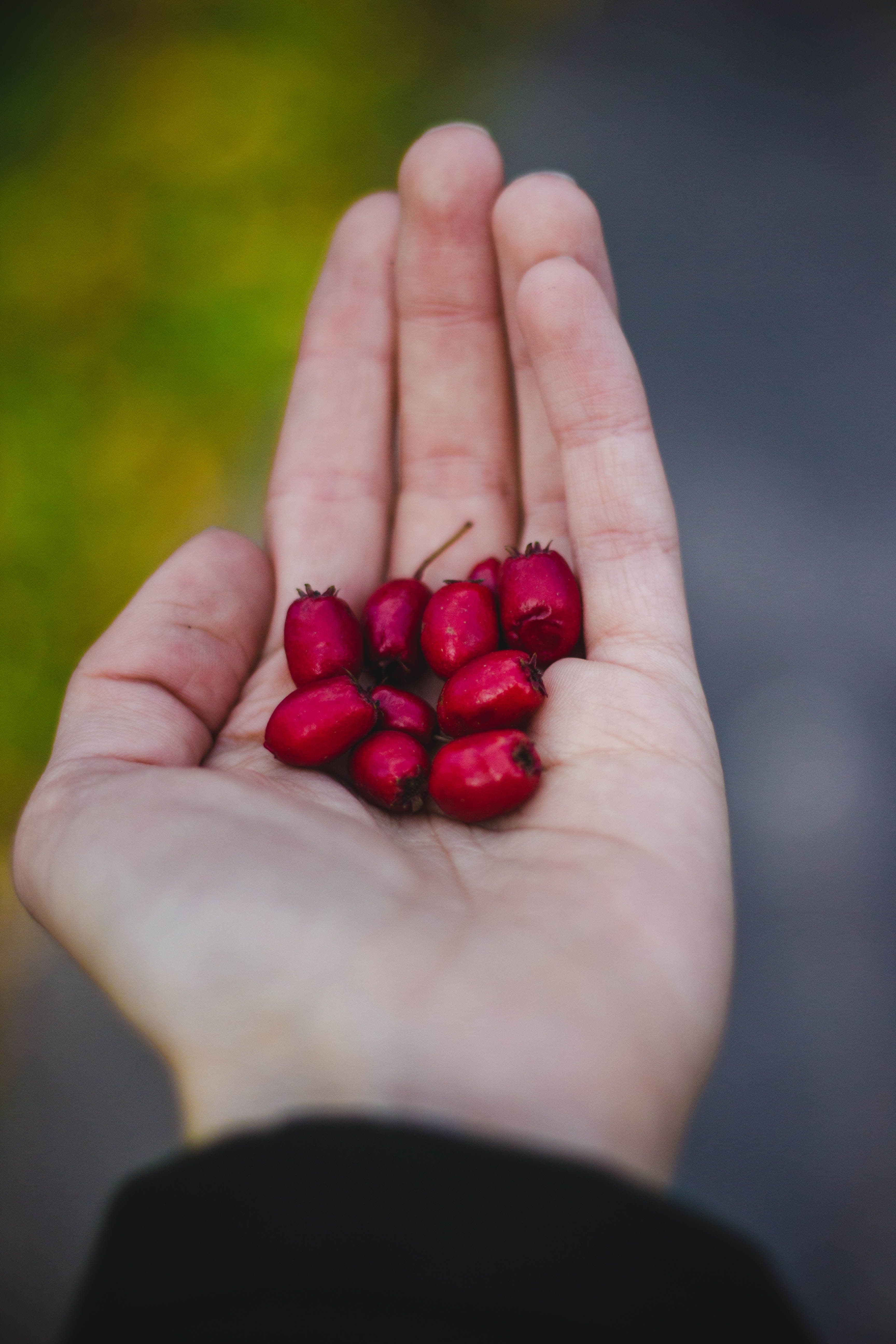 Fresh, locally sourced produce