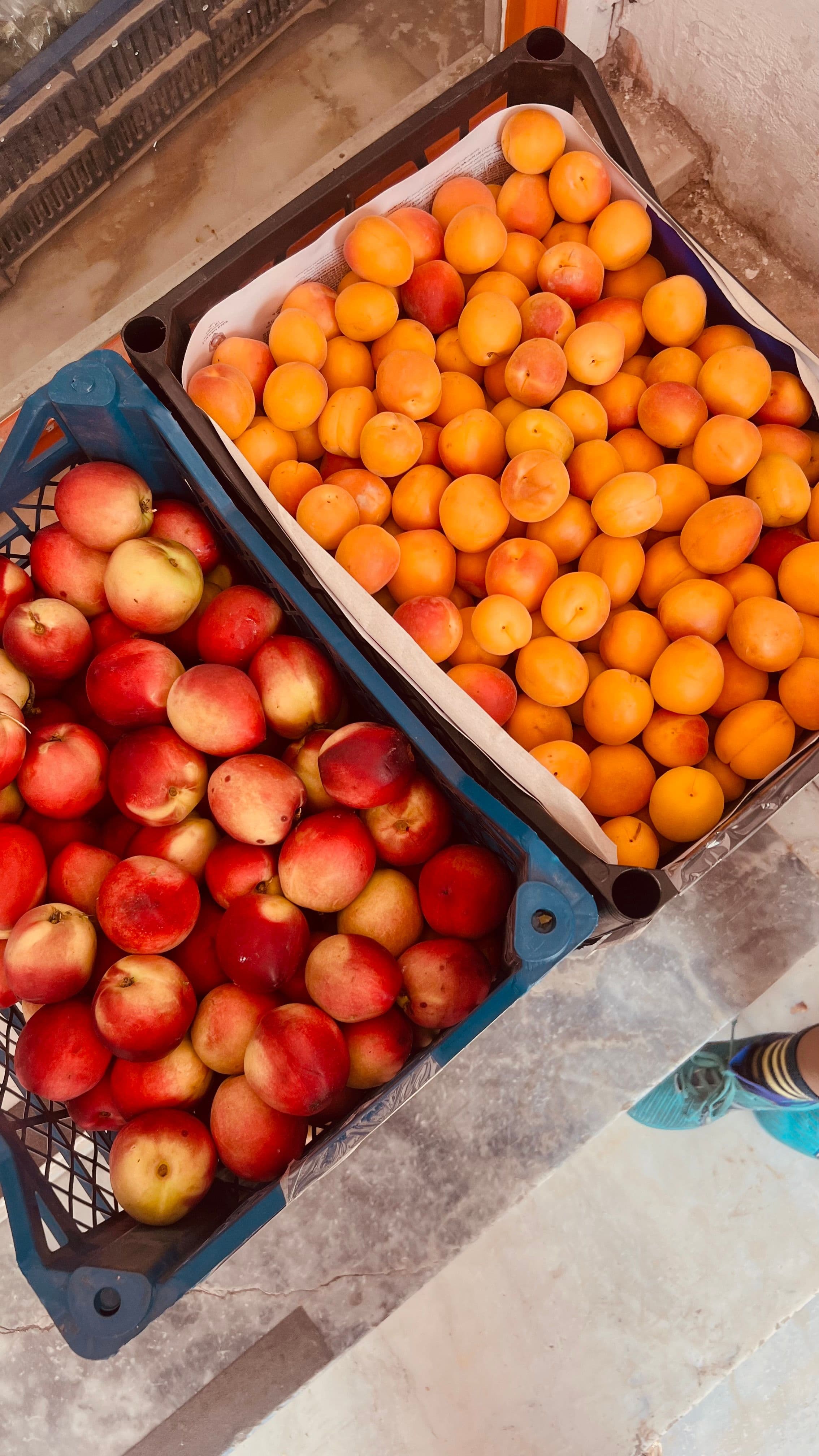A chef selecting ingredients from a local supplier